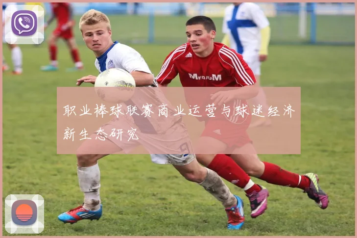 职业棒球联赛商业运营与球迷经济新生态研究