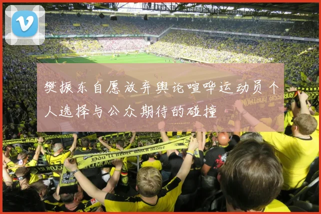 樊振东自愿放弃舆论喧哗运动员个人选择与公众期待的碰撞