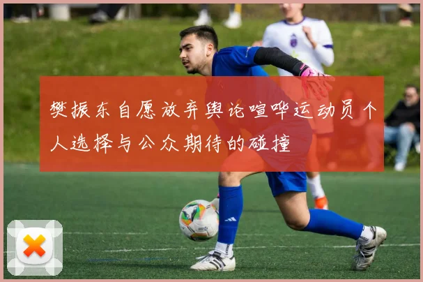 樊振东自愿放弃舆论喧哗运动员个人选择与公众期待的碰撞